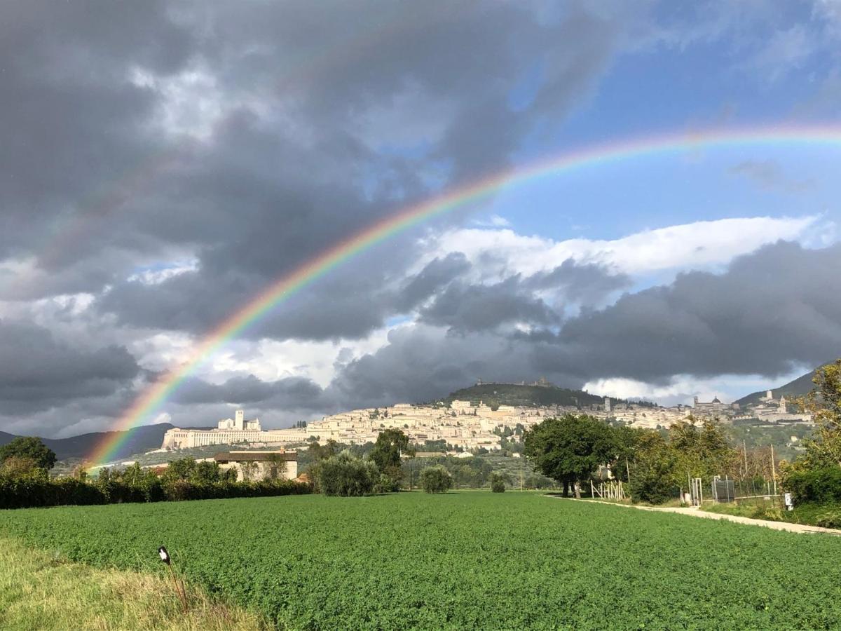 La Casa Dell'Artista Daire Assisi Dış mekan fotoğraf