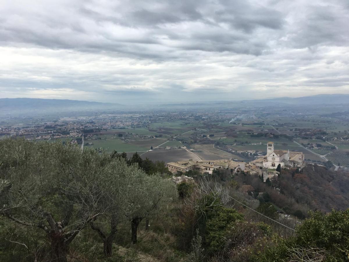 La Casa Dell'Artista Daire Assisi Dış mekan fotoğraf