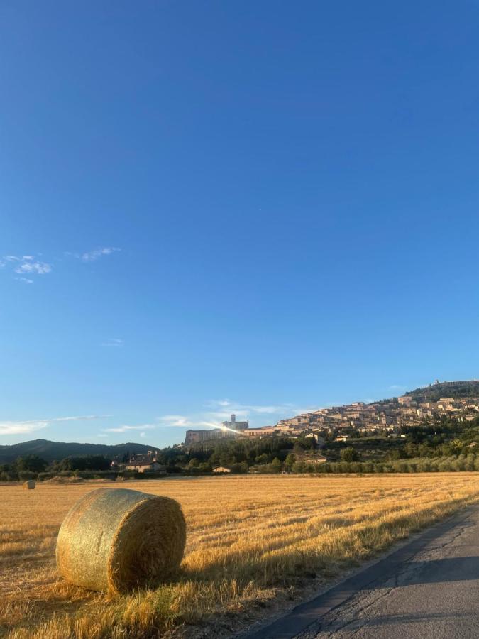 La Casa Dell'Artista Daire Assisi Dış mekan fotoğraf