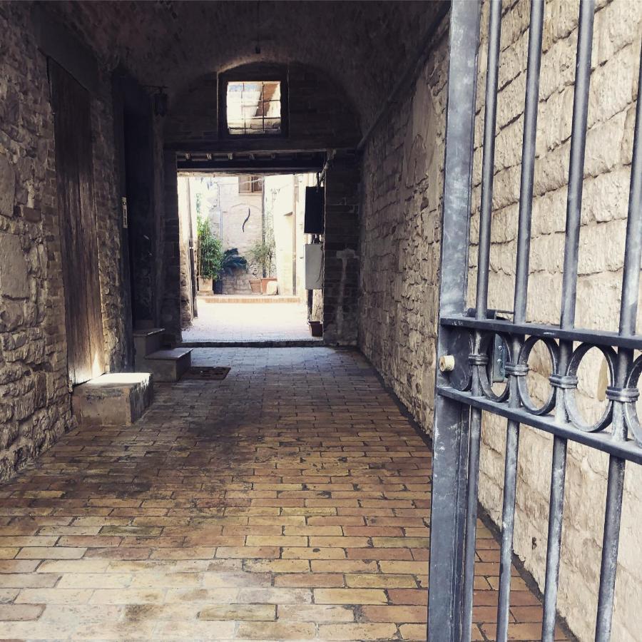 La Casa Dell'Artista Daire Assisi Dış mekan fotoğraf