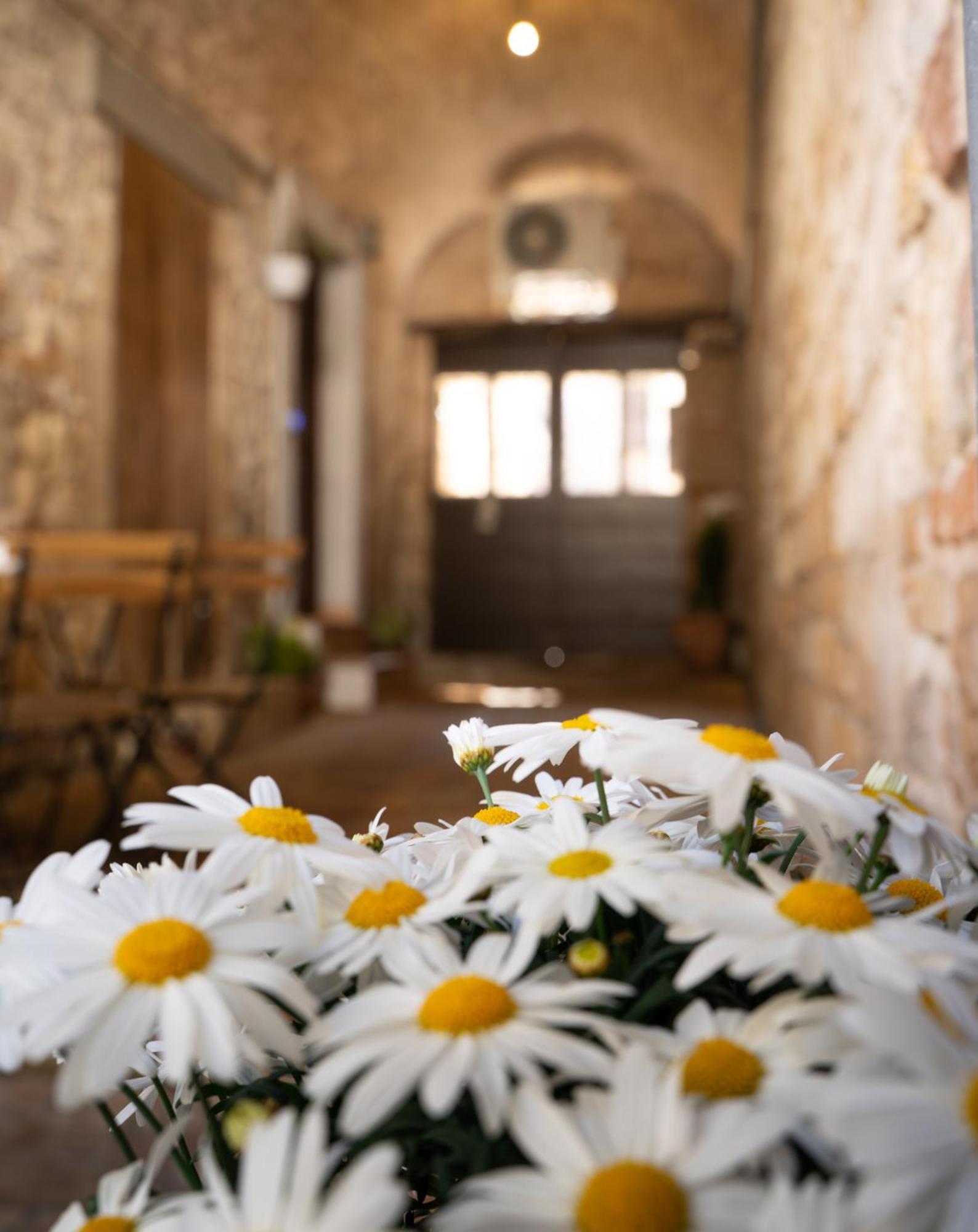 La Casa Dell'Artista Daire Assisi Dış mekan fotoğraf