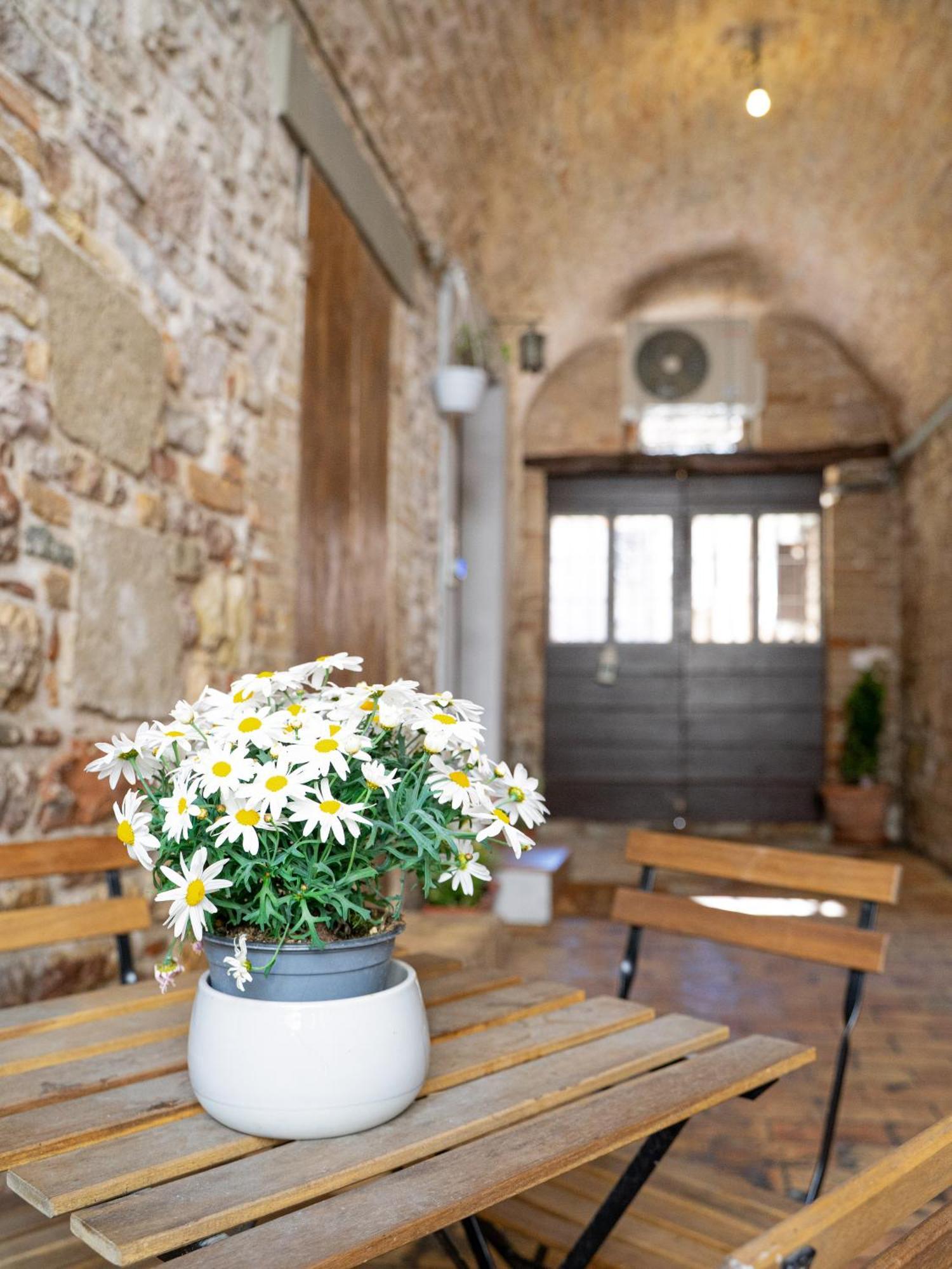 La Casa Dell'Artista Daire Assisi Dış mekan fotoğraf